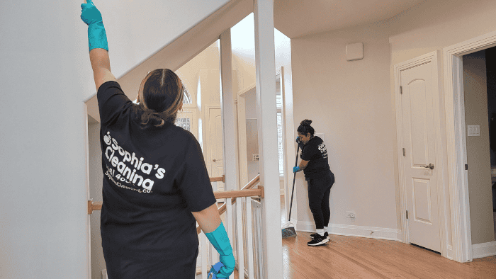 professional move in cleaning company