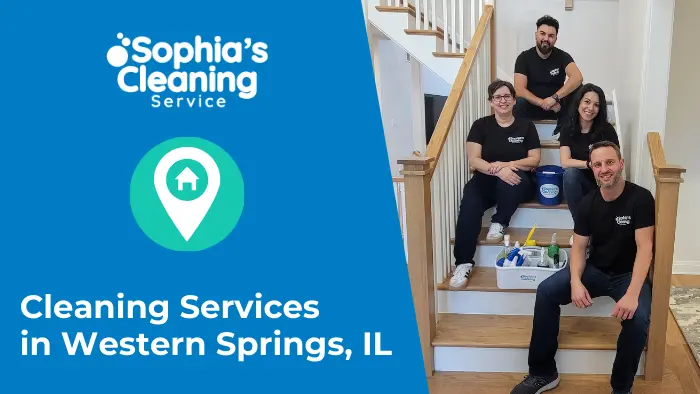 cleaning services western springs il